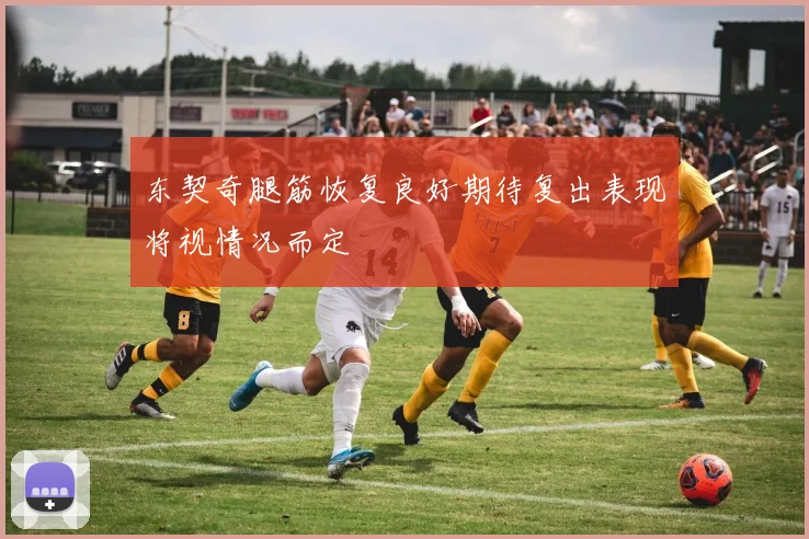 东契奇腿筋恢复良好期待复出表现将视情况而定